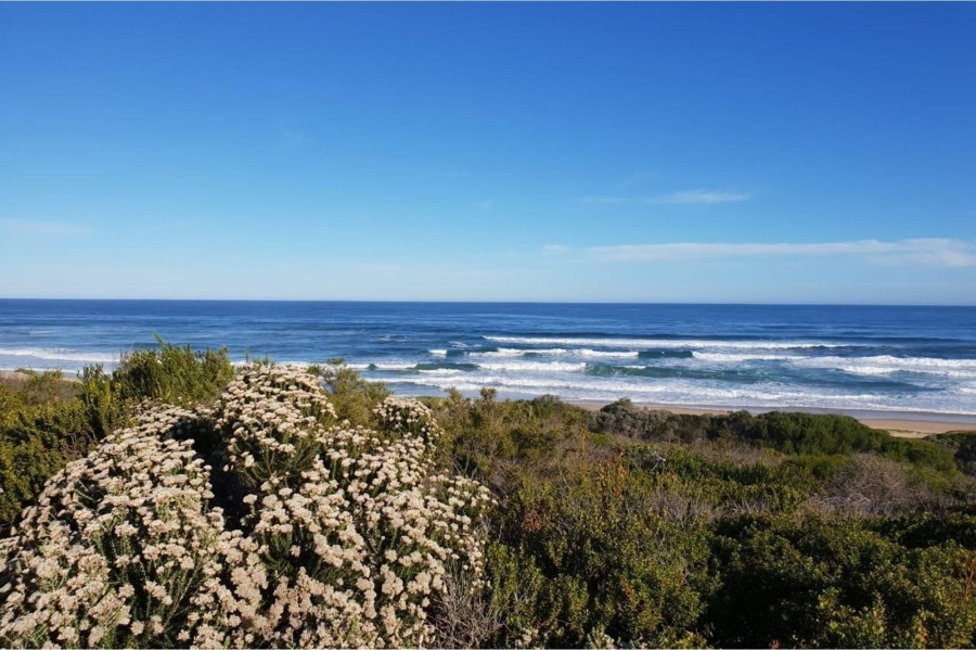 0 Bedroom Property for Sale in Kleinkrantz Western Cape